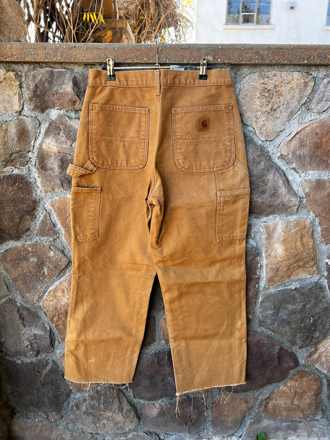 31| Carhartt Pants